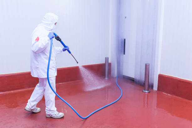 Best Sidewalk and Walkway Cleaning  in Buhl, MN