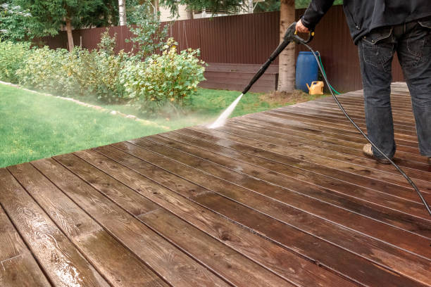 Best Animal Enclosure Cleaning  in Buhl, MN