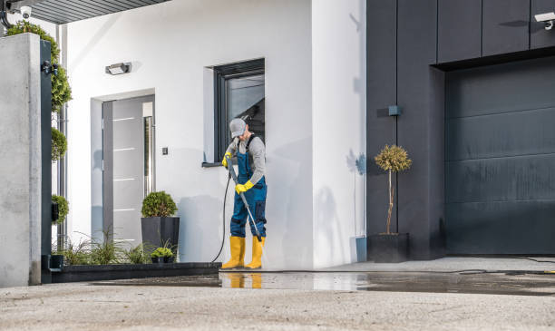 Best Spring Cleaning  in Buhl, MN